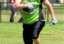 Silverbacks on the grid