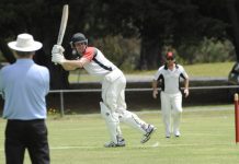 Three local contenders for state country cricket side