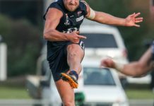 Andrews cleared to play