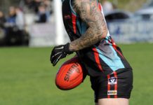 Cobras v Dogs: game on