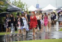 Racing at feverish pitch