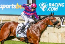 Pilote lights up the Cup