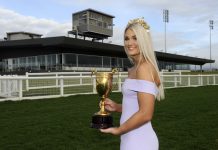 Shining in the spotlight