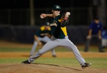 Green and gold glory