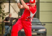 Records smashed in Twenty20s