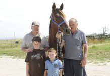 Zipping Elmo trots to victory