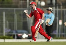 Swans’ reversal of fortune