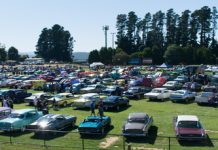 Polished to perfection