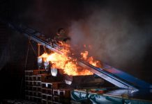 Todd Sampson is on fire