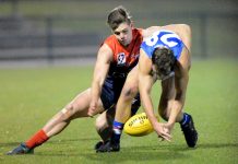 Cox seals the deal for Demons