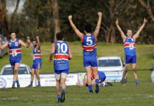 Sons of the Yips sing again