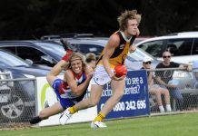 Stingrays wary of a Power surge