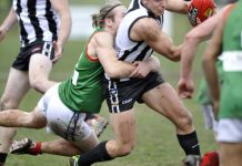 Divisions grow in AFL South East