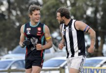 Cobras are ready to strike