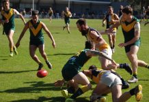 Eagles are true champions