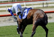 Mick has eyes on the cup