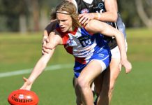 Draft dreams realised