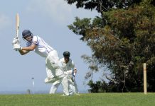 Lions win battle with Cougars