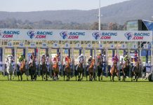 Roche is back for cup