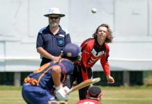 Warriors on the rise