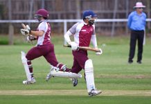 Maroons survive the cull