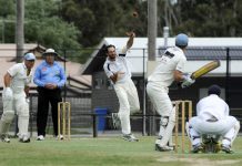 Swans test Lions’ mettle