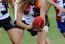 Stingrays look to the future