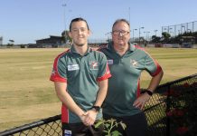 Seagulls on the lookout