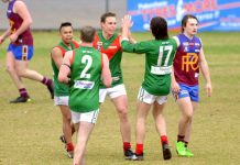 Gillespie’s ‘Gulls primed