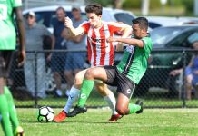 Comets off to dream start