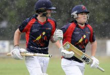 Demons and Lions in fierce battle