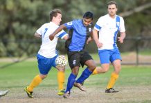 Comets have the Blues