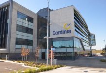 Growth back in the black