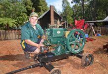 Bush beauty boasts history