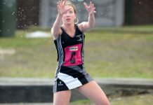 Gulls are looking ominous