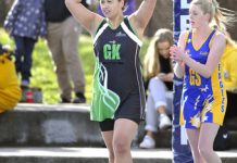 Doves’ perfect start