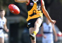 Rays reap the rewards