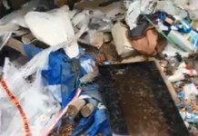 Family home desecrated, horse graveyard uncovered