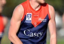 Demons overrun by Tigers