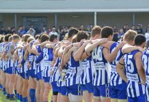 The Kangaroos dig deep