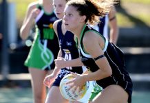 Seagulls continue to fire