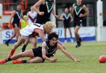 The Yarra Ranges proves its worth