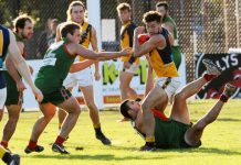 Seagulls stunned by the Munro and Langley show
