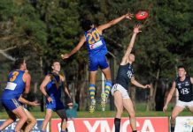 Eagles come from the clouds