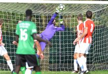 Dominant Doves roll along