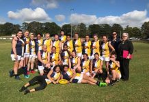 Eagles spreading their wings