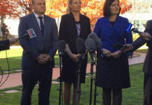 Live-sheep exports “disaster“: Wood