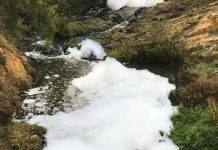 Toomuc Creek resembles bubble-bath