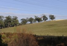 ‘Battery humans’ fear