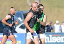 Doves look to the future